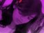 Shefali Patel (Fan)