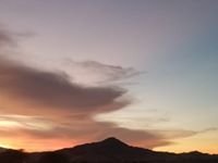 Dawn Westergard