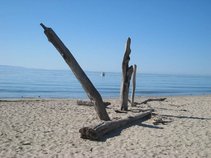 sunnyislands