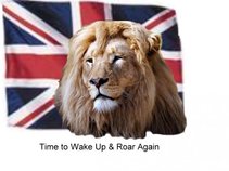 dollchi