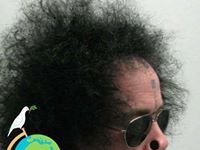 Bruno Camino