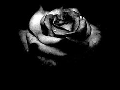Evolutions of Poetry