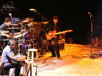Vaughan Guitars