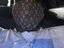 Tramaine Jenkins (Fan)