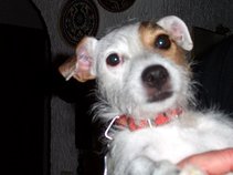 Doretta