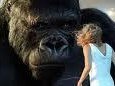 kingkong37