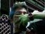 Tushar D (Fan)