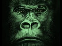 Gorilla Music Group