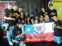 RottweilasCHILEOFICIAL