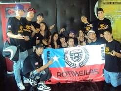 RottweilasCHILEOFICIAL