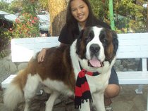 Doti