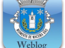 Moimenta do Dão Weblog