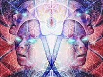 Novuslight