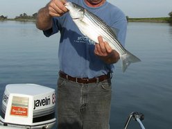 fishinandlisten