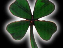 TheIrishone