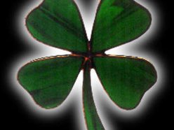 TheIrishone
