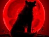 Bloody MoonShine