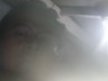 Pesoy