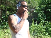 3133 Debo
