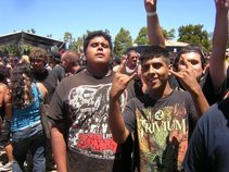 Metalheadmaggot666