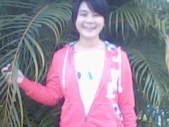 zheng ying ying