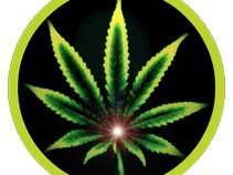 ReggaeYouth