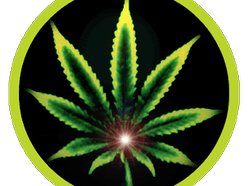 ReggaeYouth