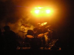 Jesse Taylor