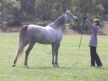 Gellerina Lisazo