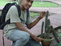 meyvi
