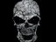 LaughingSkull Street Team (Fan)