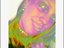 wicked_juggalette5 (Fan)
