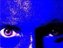 Bluonic (Fan)