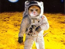 starsailorcat