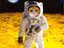 starsailorcat (Fan)