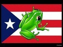 Naomi S. Yamada-Padilla