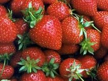 chief strawberry