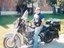 David M F Tibbitts (Fan)