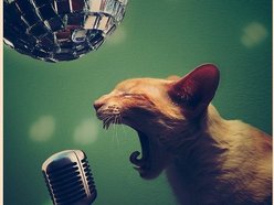 Eric Zecat