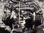 Carl Wilson, Jr
