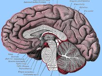 Collosal Disorder