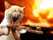 Ray Blowtorch