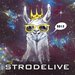 StrodeLive 2015