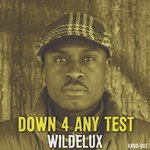 Down 4 Any Test -Digital Single (KRDD-007)