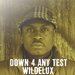Down 4 Any Test -Vinyl 12 inch Single (KRWX-017)