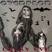 LUCKY YOU CD (2017)