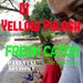 Fresh Catch the mixtape vol 1