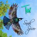 Tui