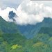 Cloud Forest