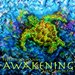 Awakening
